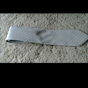 Lord and Taylor Tie~Silver~silk